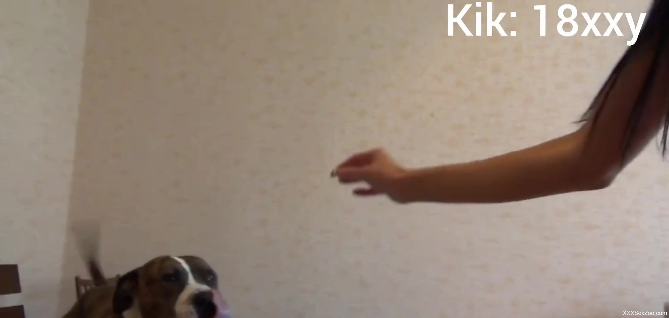 Brunette with a perky butt is about to fuck a dog