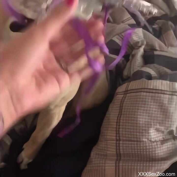 Sexy female fools around with her dog in special home scenes