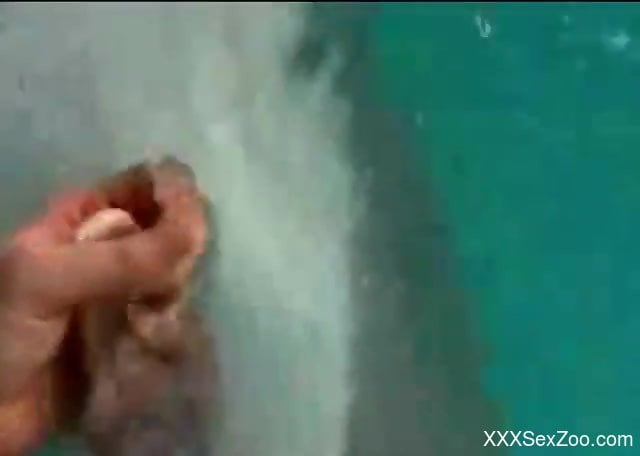 Sexy guy sucking on a beast's penis like mad