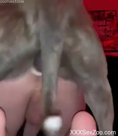 Assfuck experience for a hot bitch who loves dogs