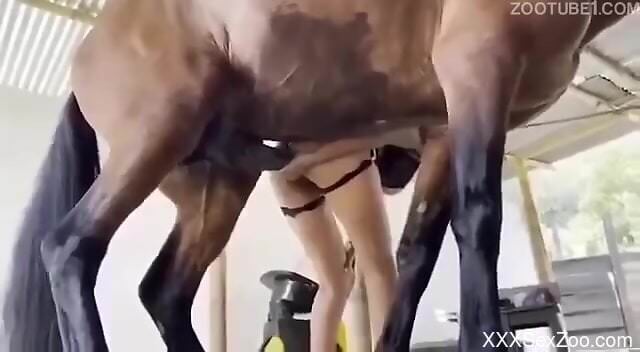 Thin woman tries a massive horse cock in her wet pussy
