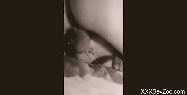 Hot closeup pleasure with big cock dude and doggo