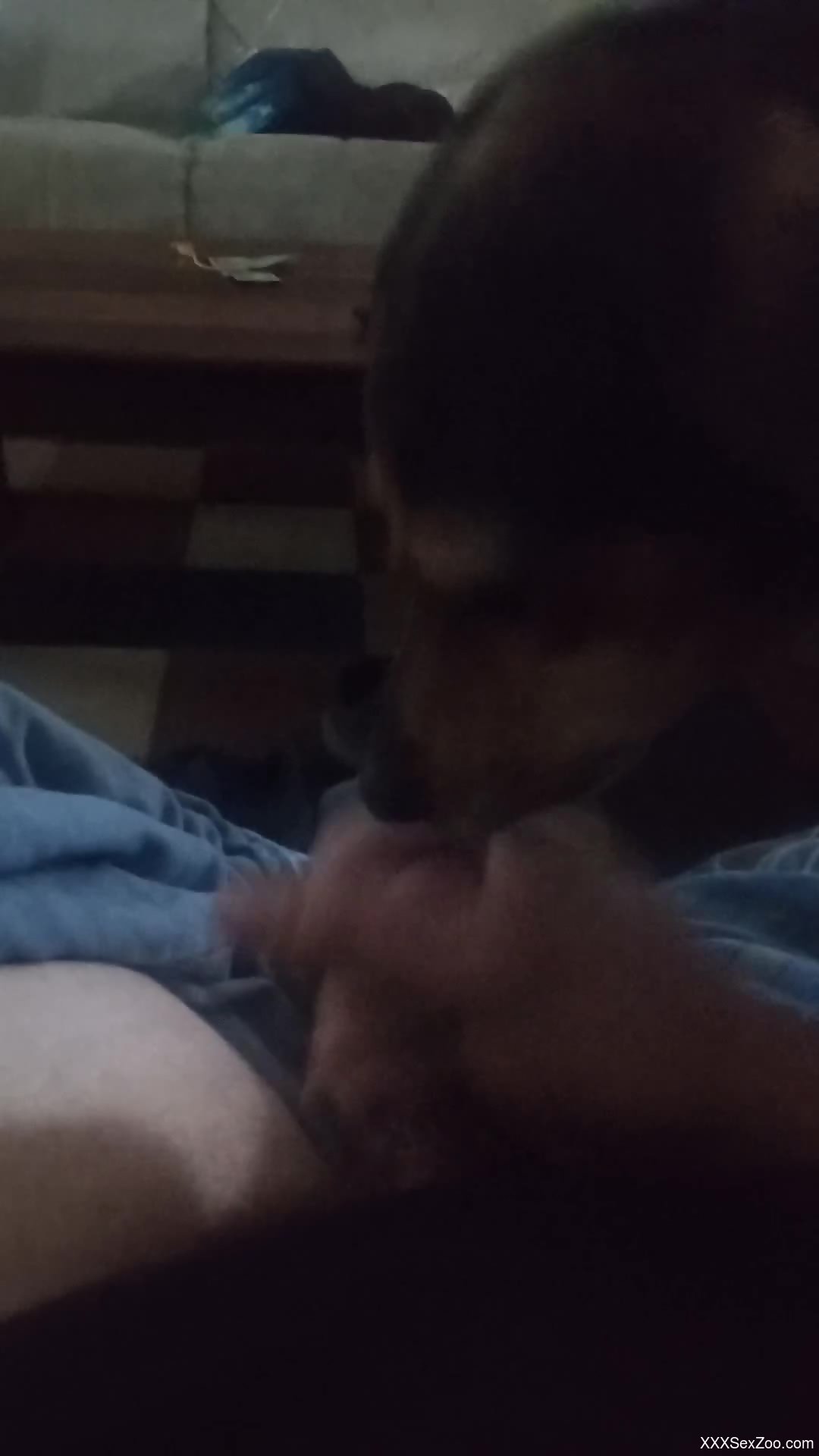 Hot dude jerking his dick in front of a cocksucker dog