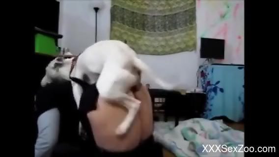 Dog humps curvy ass woman big time and comes in her