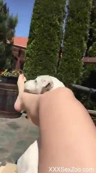 Dog licks woman's wet pussy and ass in outdoor zoophilia