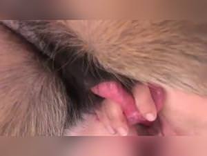 Outdoor sex with my youngest pet, raw desire