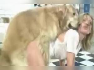 Wild doggy sex: extreme animal footage