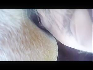 Woman and Horse: A Story of Desire and Pleasure