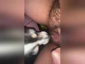 Dog licking thick pussy - amateur bbw action