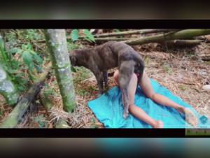 Leydi - Dog Fucking Girl: Gay Beastiality on Full Display