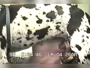 Girl Fucks Harlequin Dane Part 1