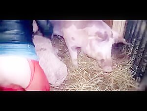 Ariel and her dog: A story of shocking bestiality