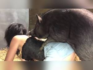 Dog fucks girl: Beastiality cartoons and animal sexo