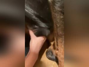 Dirtyslut Dog Sex Extreme