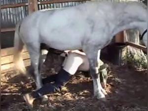 Horse brutally fucks girl, extreme zoophilia scene