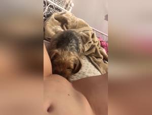 Animal sex : bitch licked by her dog extreme
