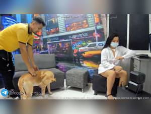 Slut Gets Fucked by Dog - Benji XXX