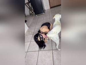 Bitch Fucks Dog Hardcore Sex