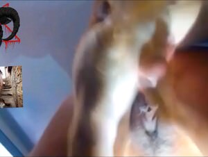 Wild Dog Fucked Teen Girl: Intense Orgy Leak