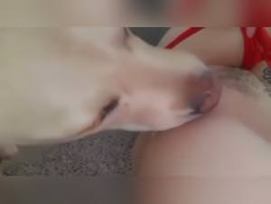 Doggy licking, explicit sexual fantasy