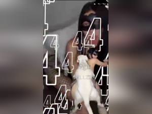 Dirty Dog Sex PMVs - Wild Women