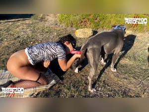 Hot Wife fucks Doggy on Beach - Animal Sex Videos