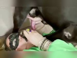 My insatiable pussy drives my dogs wild