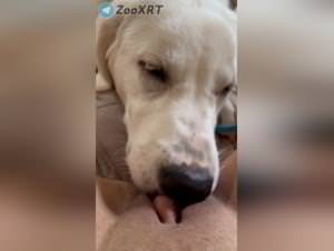 She gets pounded by her dog relentlessly