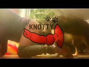 Free beastiality: dog fucks girl pornsocket