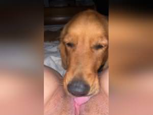 Girl Dog Licking Xxx Intense