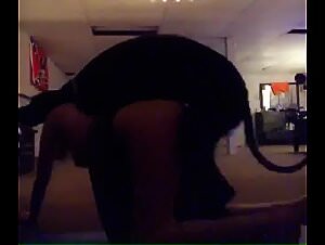 Animal sex at home: the most popular zooskool videos