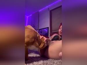 Dog fuckers : Watch People Fucking Animals in Porno Videos