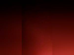 Milly Dog Sex Obsession Extreme