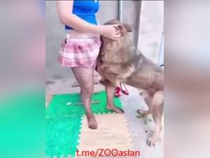 Chinese MILF Dog Fucks Hardcore 1