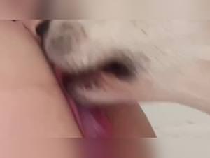 Animal tube hardcore, elle baise son chien
