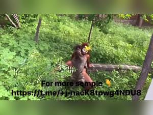 Zooporno avec des femmes de seks et notre chien