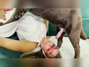 Bloody dog sex frenzy