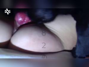 Brunette Dog Sex