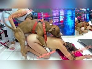 BenjiProd: Woman Dog Sex