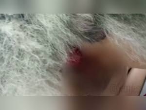 Zooxxx salopia: a whore sucks dog Cali Nova, taboo, dog sex chromosomes pdf