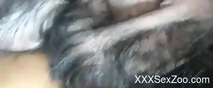 Sexy animal sets its sights on that tight bunghole