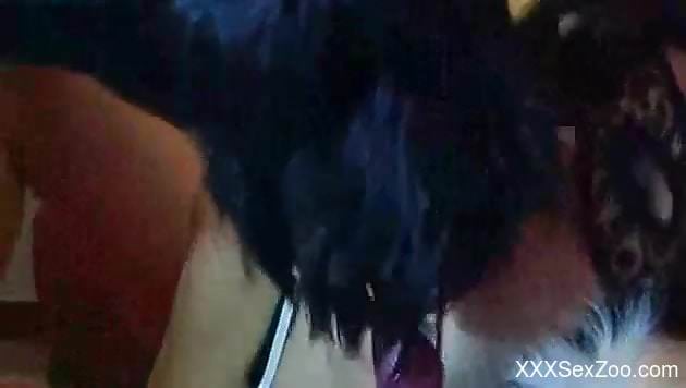 Brunette enjoying passionate loving with a dog