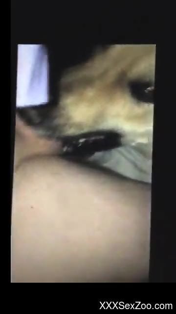 Sexy animal getting throated with passion by a guy