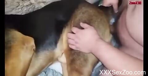 Dude puts his penis and dominates the beast too