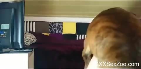 Sexy wife fucked by a dog in homemade amateur XXX rounds