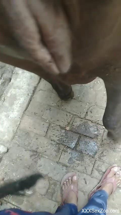 Hot fucking movie with a sexy animal that wants gape