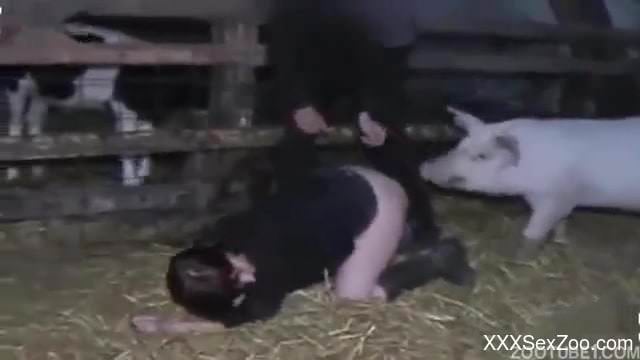 Farm XXX with a pig and a sexy female