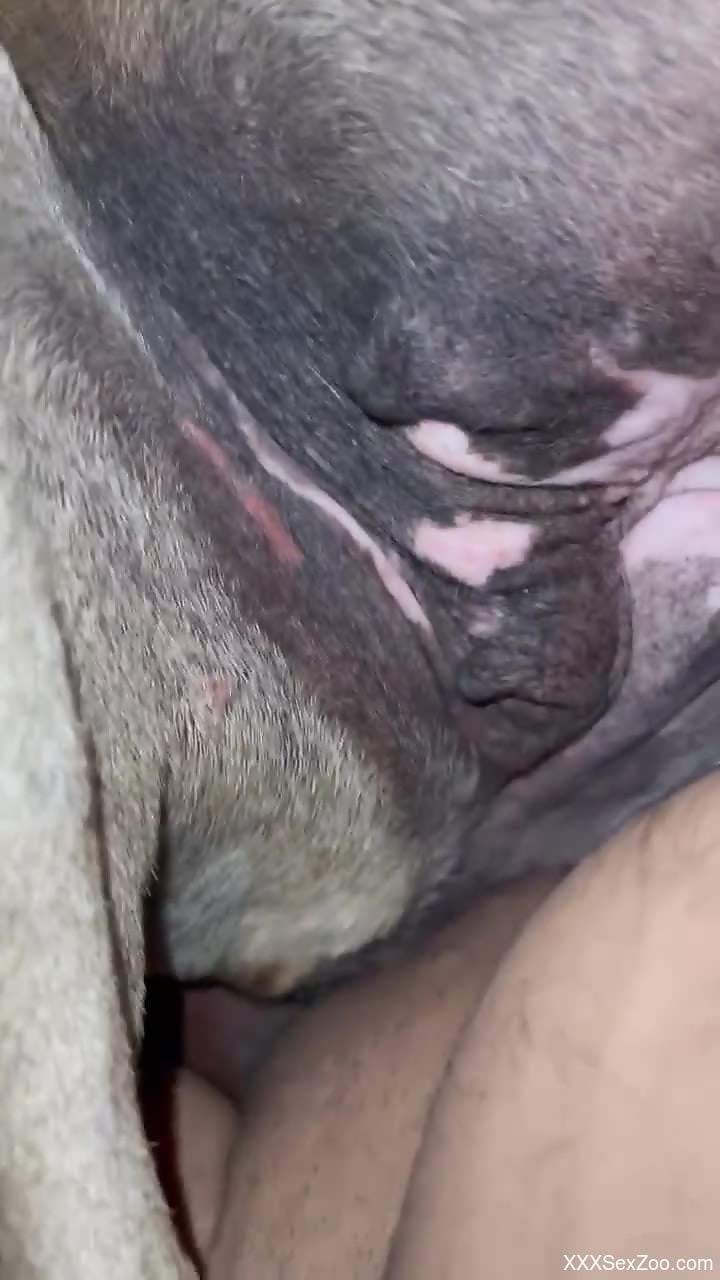 Dude is going to stick his dick right in UP CLOSE