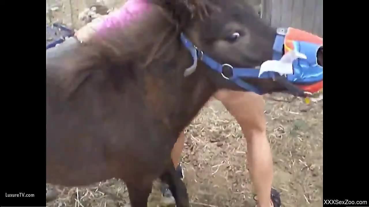 Leggy babe with a wet pussy drilled by a kinky stallion