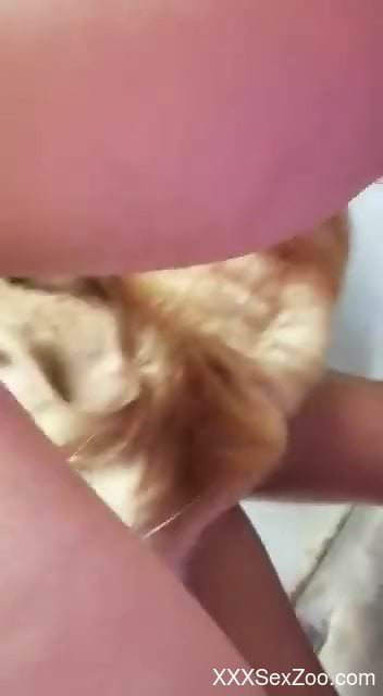 Strong home zoo sex grants naked male insane pleasures